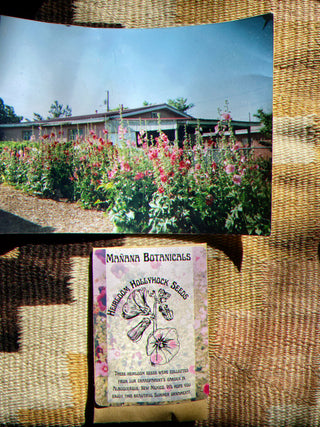 Heirloom Hollyhock Seeds
